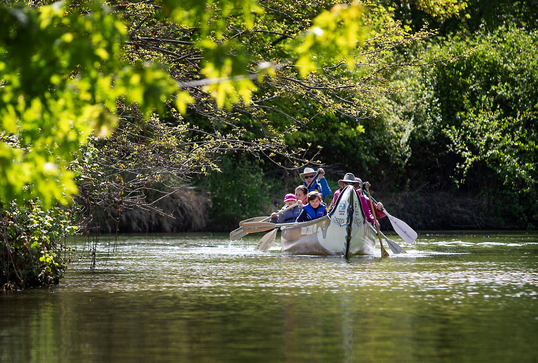 220514-newslocal-canoes 01.jpg